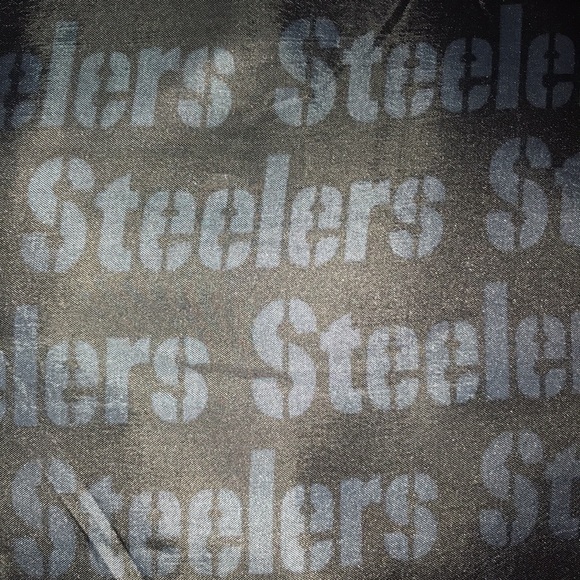 NWT NFL Steelers Puffy Pillow - Picture 5 of 6